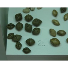 The Early Barrow Culture, Almond-shaped wood with cross